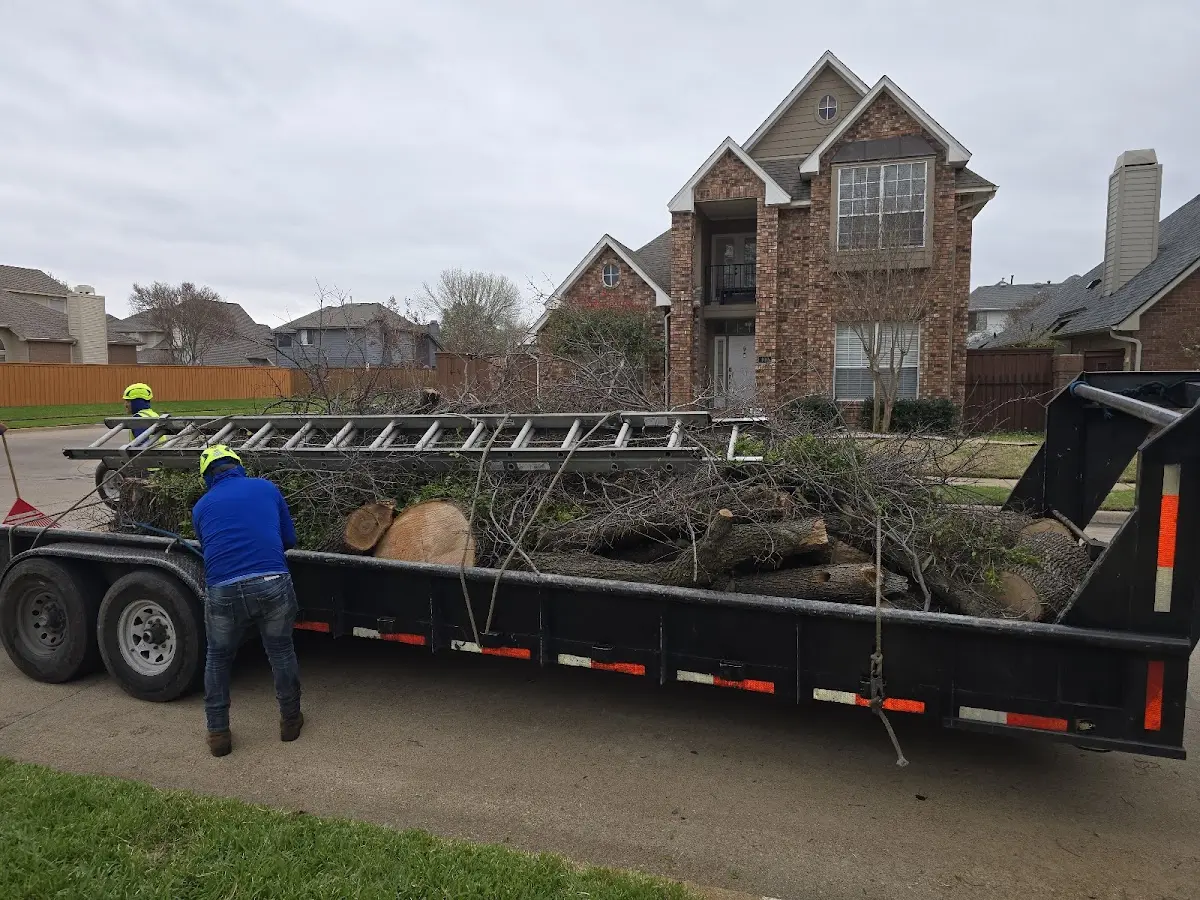 Expert Lot Clearing with proper safety equipment in Lockwood
